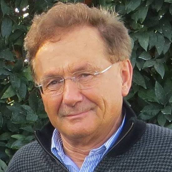 Johann Friedl
